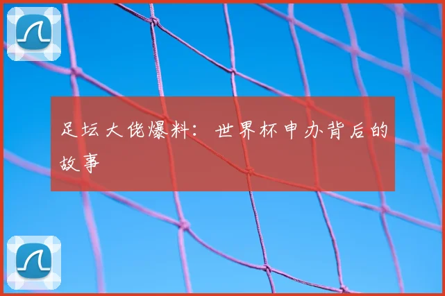 足坛大佬爆料：世界杯申办背后的故事