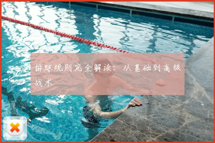 排球规则完全解读：从基础到高级战术