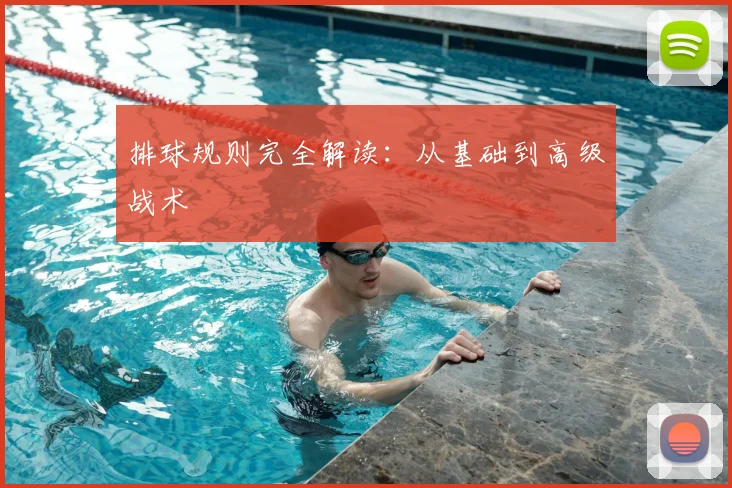 排球规则完全解读：从基础到高级战术